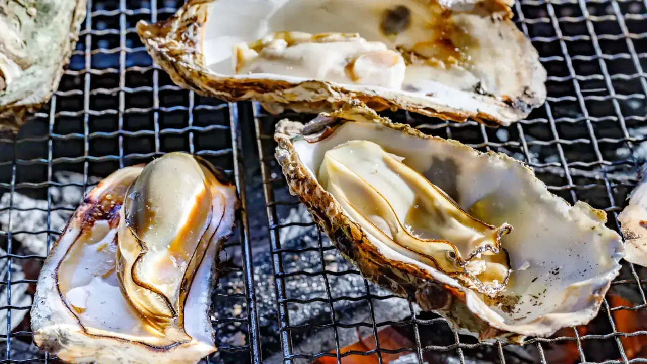 Huîtres grillées sur un barbecue. Elles sont ouvertes, révélant leur chair nacrée. Un vrai délice, on ne s'en lasse pas !