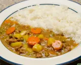 Un plat de riz blanc servi avec un curry japonais savoureux, garni de morceaux de carottes, de pommes de terre et de petits pois.