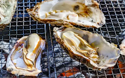 Huîtres grillées sur un barbecue. Elles sont ouvertes, révélant leur chair nacrée. Un vrai délice, on ne s'en lasse pas !