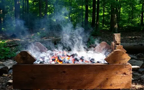 Bûches de bois et braises ardentes dans un barbecue rustique, évoquant l'origine du barbecue en pleine forêt.
