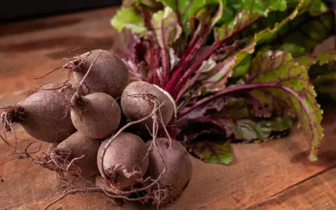 Un bouquet de betteraves fraîches, prêtes pour une délicieuse recette betterave. Leurs feuilles vertes et leurs racines pourpres promettent saveur et couleur.