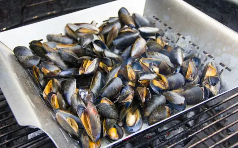 Un plateau de moules au barbecue, prêtes à être dégustées. Les coquilles sombres et orangées s'entrouvrent sous la chaleur des braises.