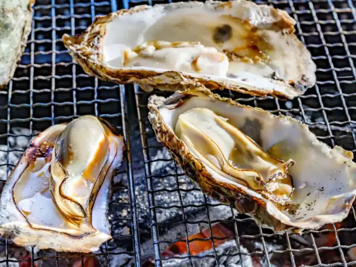 Huîtres grillées sur un barbecue. Elles sont ouvertes, révélant leur chair nacrée. Un vrai délice, on ne s'en lasse pas !