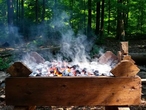 Bûches de bois et braises ardentes dans un barbecue rustique, évoquant l'origine du barbecue en pleine forêt.