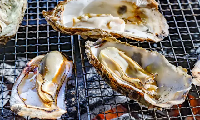 Huîtres grillées sur un barbecue. Elles sont ouvertes, révélant leur chair nacrée. Un vrai délice, on ne s'en lasse pas !