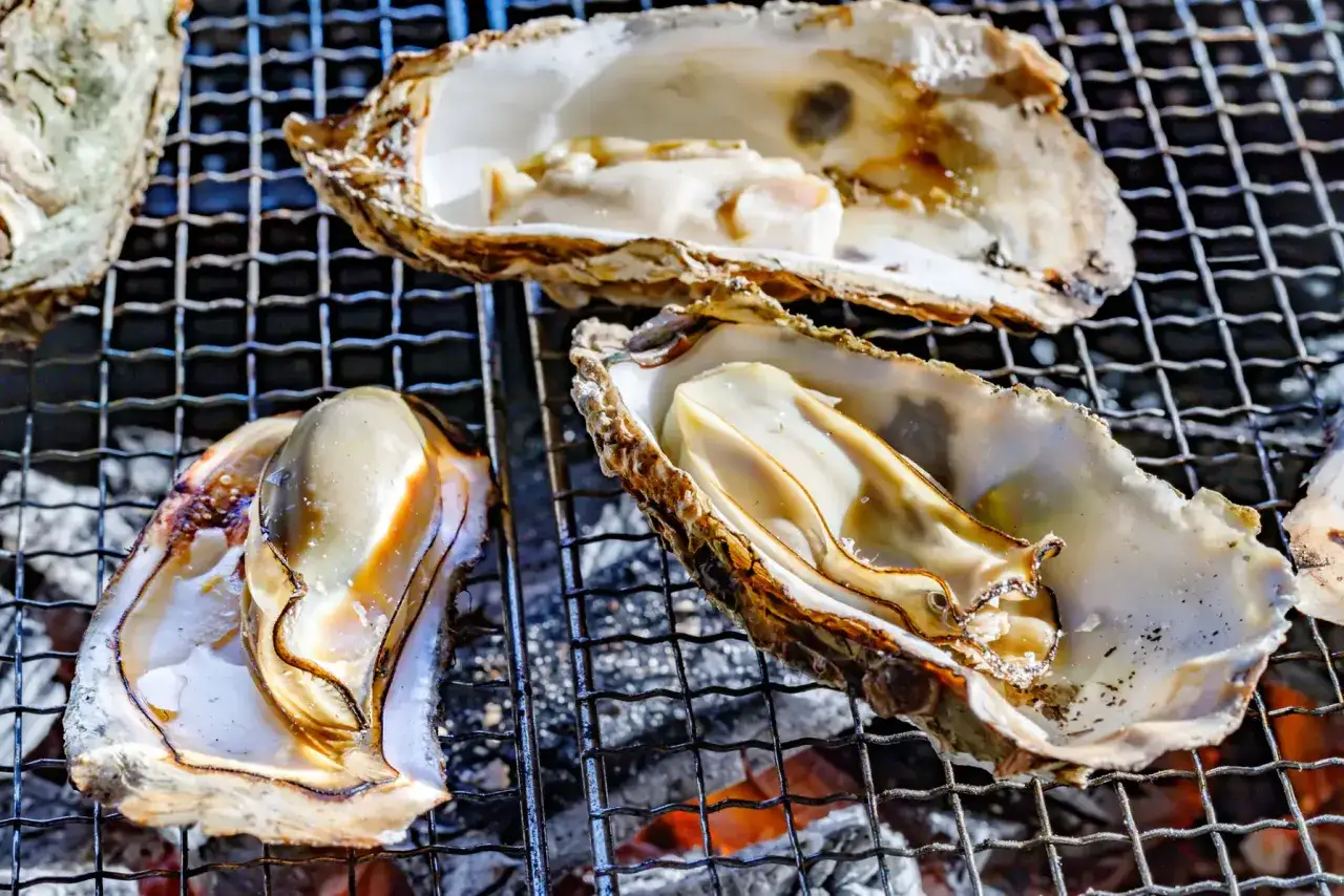 Huîtres grillées sur un barbecue. Elles sont ouvertes, révélant leur chair nacrée. Un délice qui ne se refuse pas, sot l'y laisse !