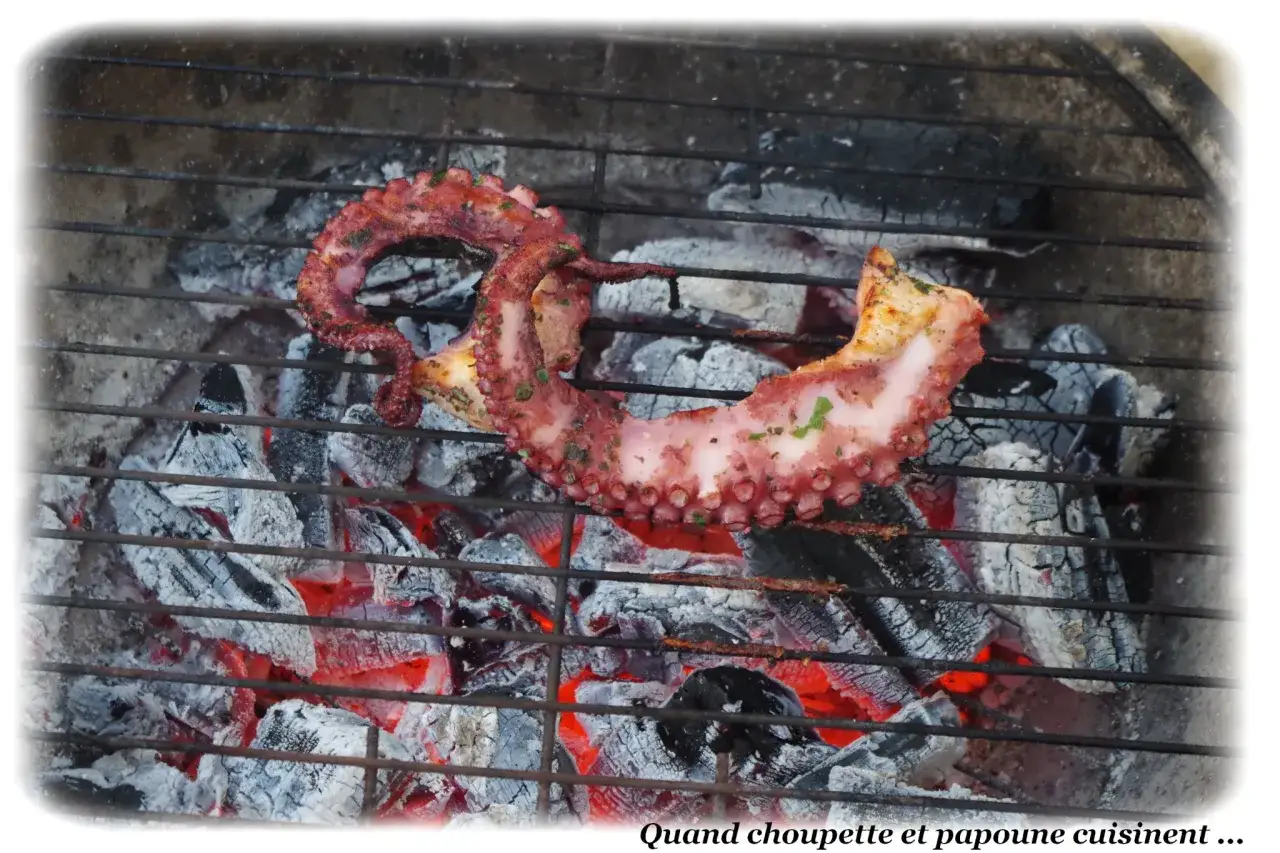 Un tentacule de poulpe grillé, assaisonné d'herbes, cuit sur des braises ardentes. Un délice savoureux !