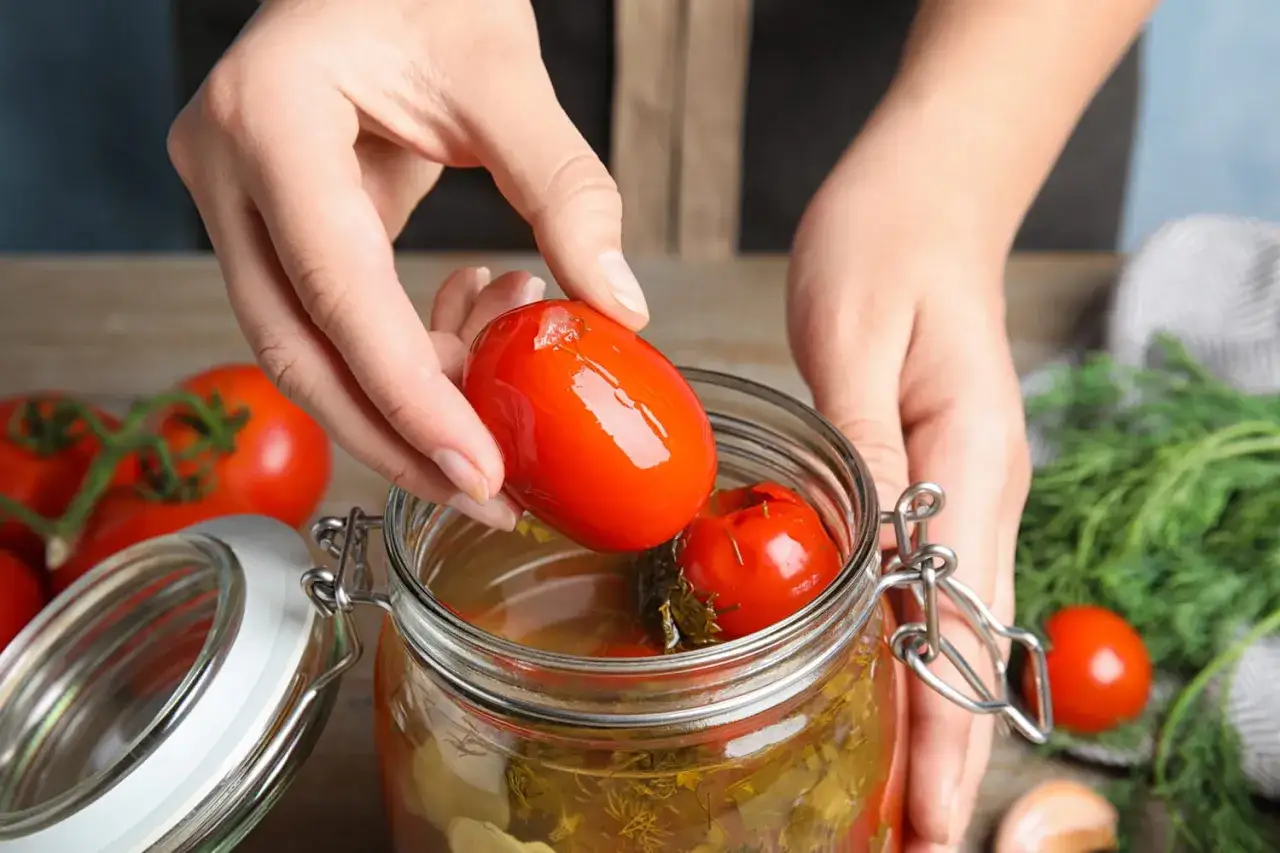 Préparation d'une recette tomate farcie le parfait. Mains plaçant une tomate dans un bocal rempli de liquide et d'herbes.